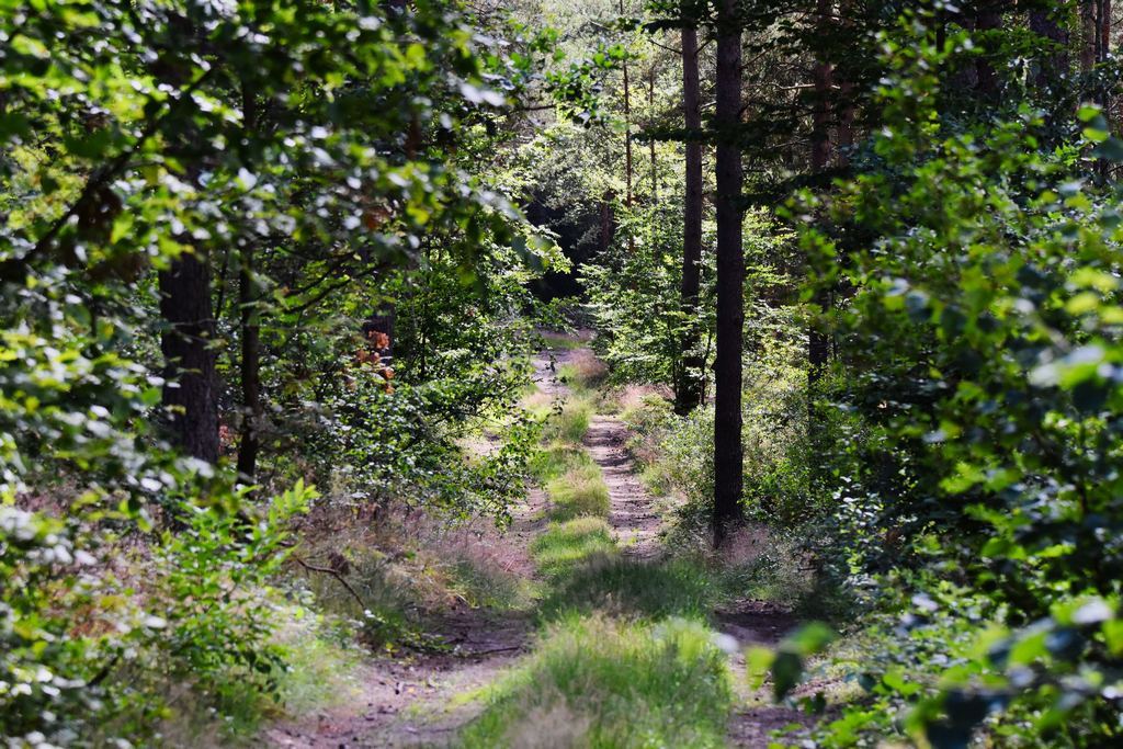 DSC_4992