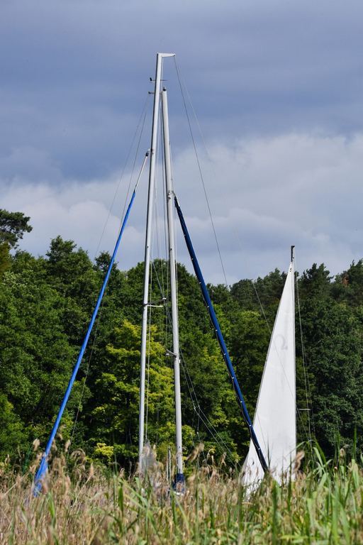 DSC_5000
