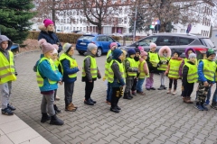 IMG_20221116_100501