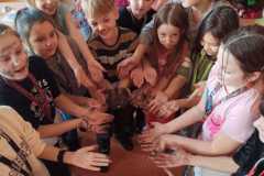 IMG-20230103-WA0007