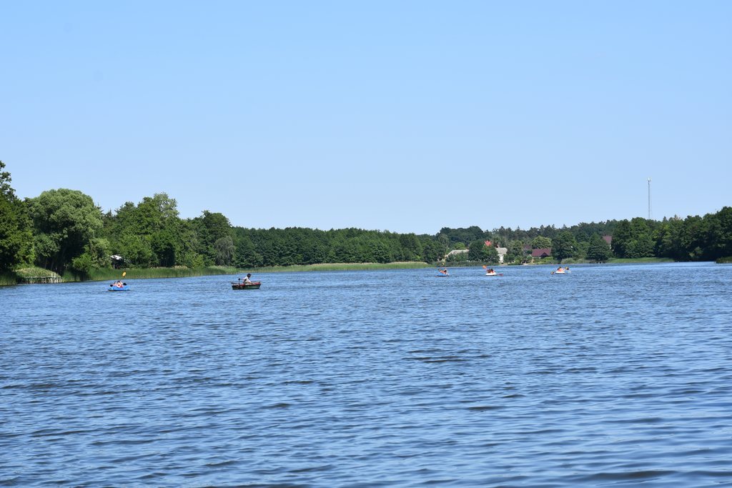 DSC_6481