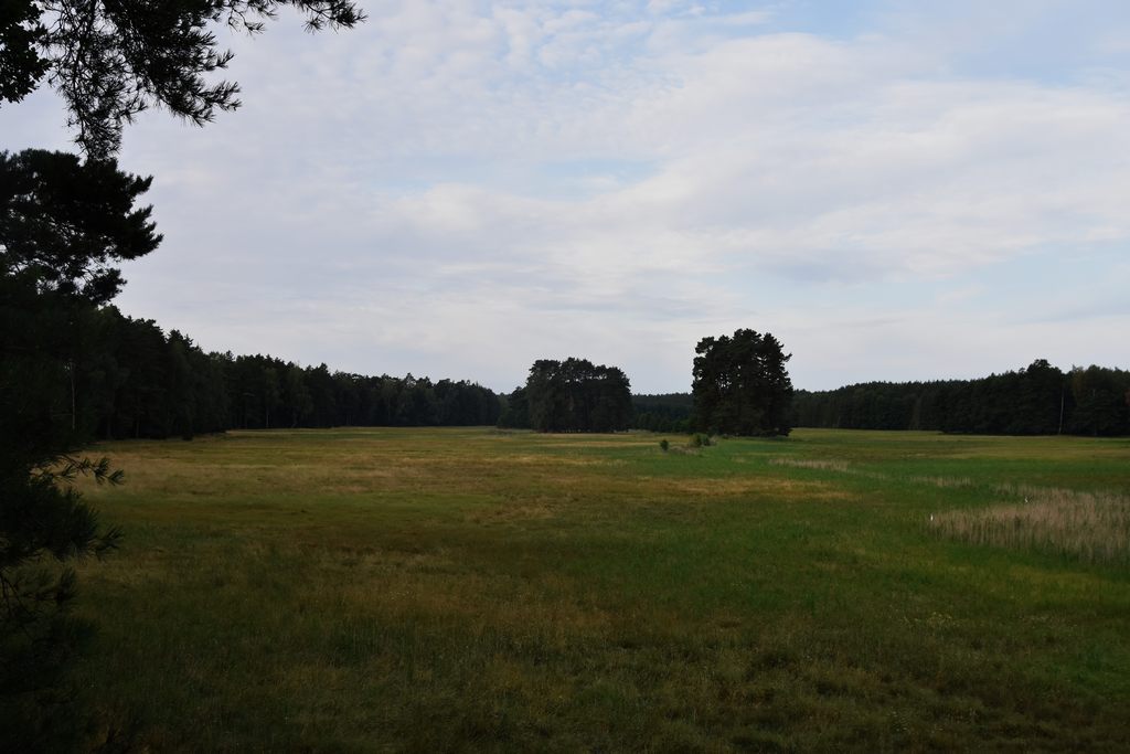 DSC_7824