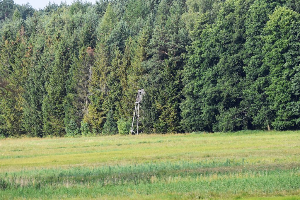 DSC_7836