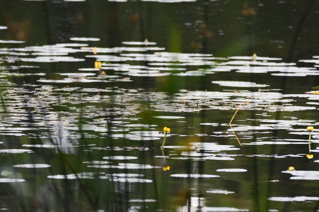 DSC_7879