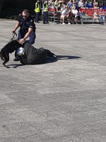 2023 09 15 6a w Szkole Policji