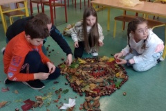IMG_20231006_140246730