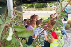 IMG_20231003_111053