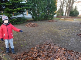 2023 11 24 Jesienne porządki przedszkolaków