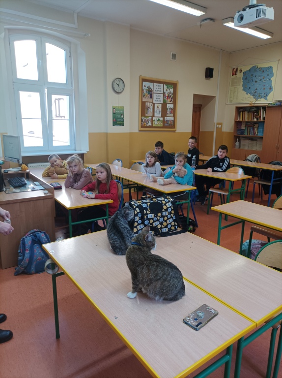 IMG_20231124_100310