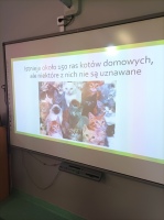 2023 11 28 Mój przyjaciel kot