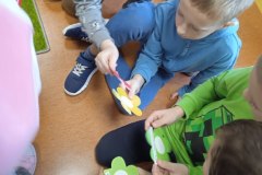 IMG_20231128_115956