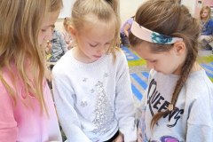 IMG_20231128_115959