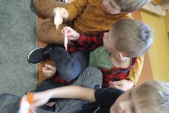 IMG_20231128_120010_1