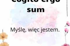 received_1460119914939126
