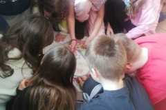img-20240322-wa0022