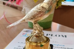 IMG20240412121941