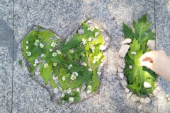 IMG_20240527_102800