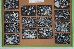 IMG_20240109_121937