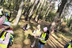 IMG-20241015-WA0001