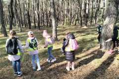 IMG-20241015-WA0002