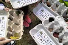 IMG-20241015-WA0004