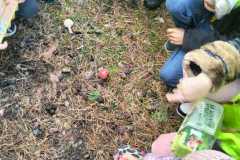 IMG-20241015-WA0005