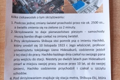 1729605498085