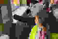 Messenger_creation_F40CD847-3BE2-4EDA-A96D-B984C8B3D4FA