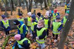 IMG-20241104-WA0032