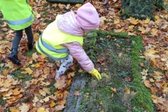 IMG_20241031_093027