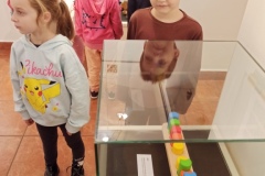 IMG_20241105_101132