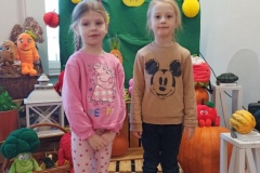 IMG_20241121_085941