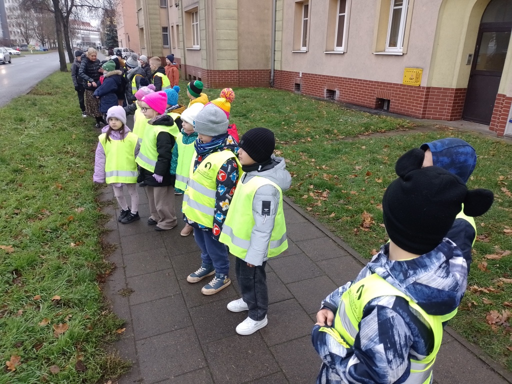 IMG_20241112_132859