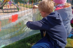 IMG_20240426_101228