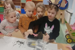 IMG20240131091020