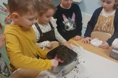 IMG20240131091237