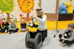 IMG-20250217-WA0017