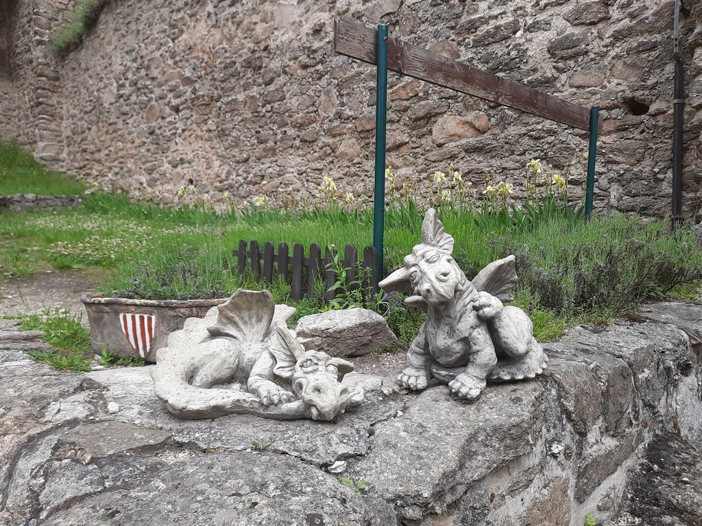 20220609_105502