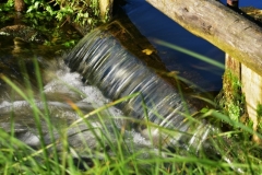 maniDSC_5703