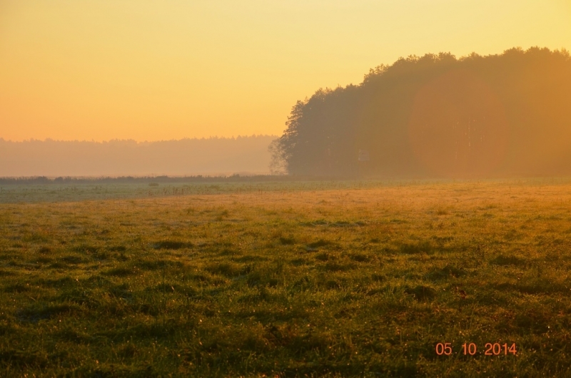DSC_1796