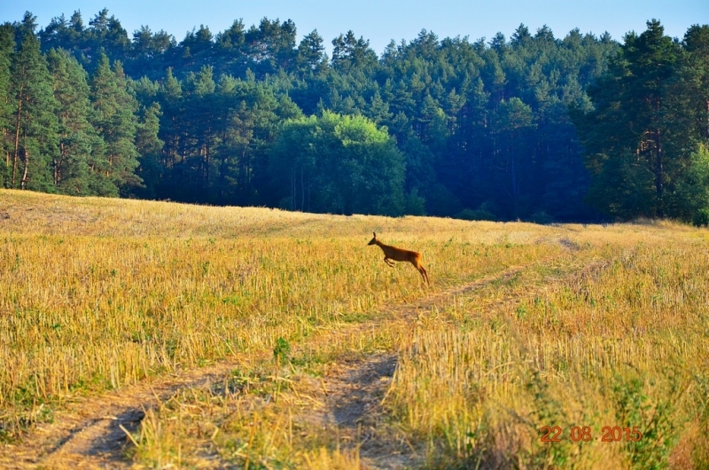 DSC_3405