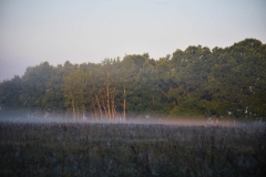 mDSC_1637