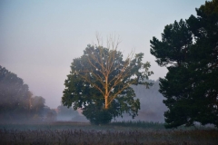 mDSC_1638