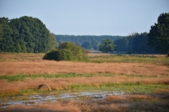 mDSC_1671