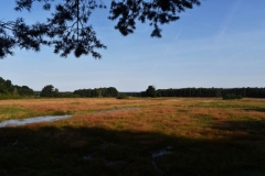 mDSC_1737