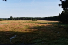 mDSC_1738