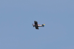 mDSC_1808
