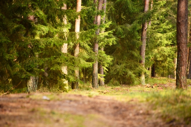 koszalinDSC_0821