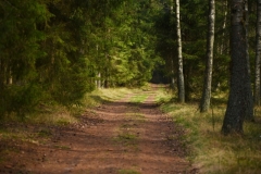 koszalinDSC_0794