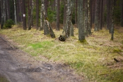 koszalinDSC_0832